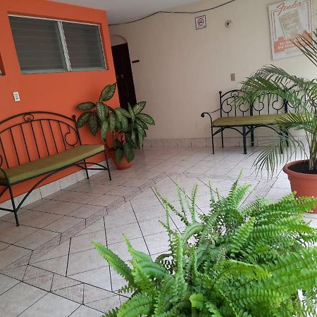 Green Monkey Hostel Flores Ngoại thất bức ảnh
