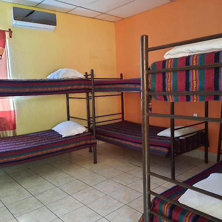 Green Monkey Hostel Flores Ngoại thất bức ảnh