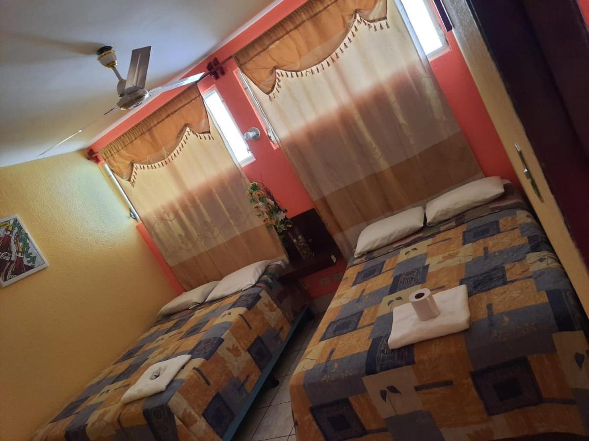 Green Monkey Hostel Flores Ngoại thất bức ảnh
