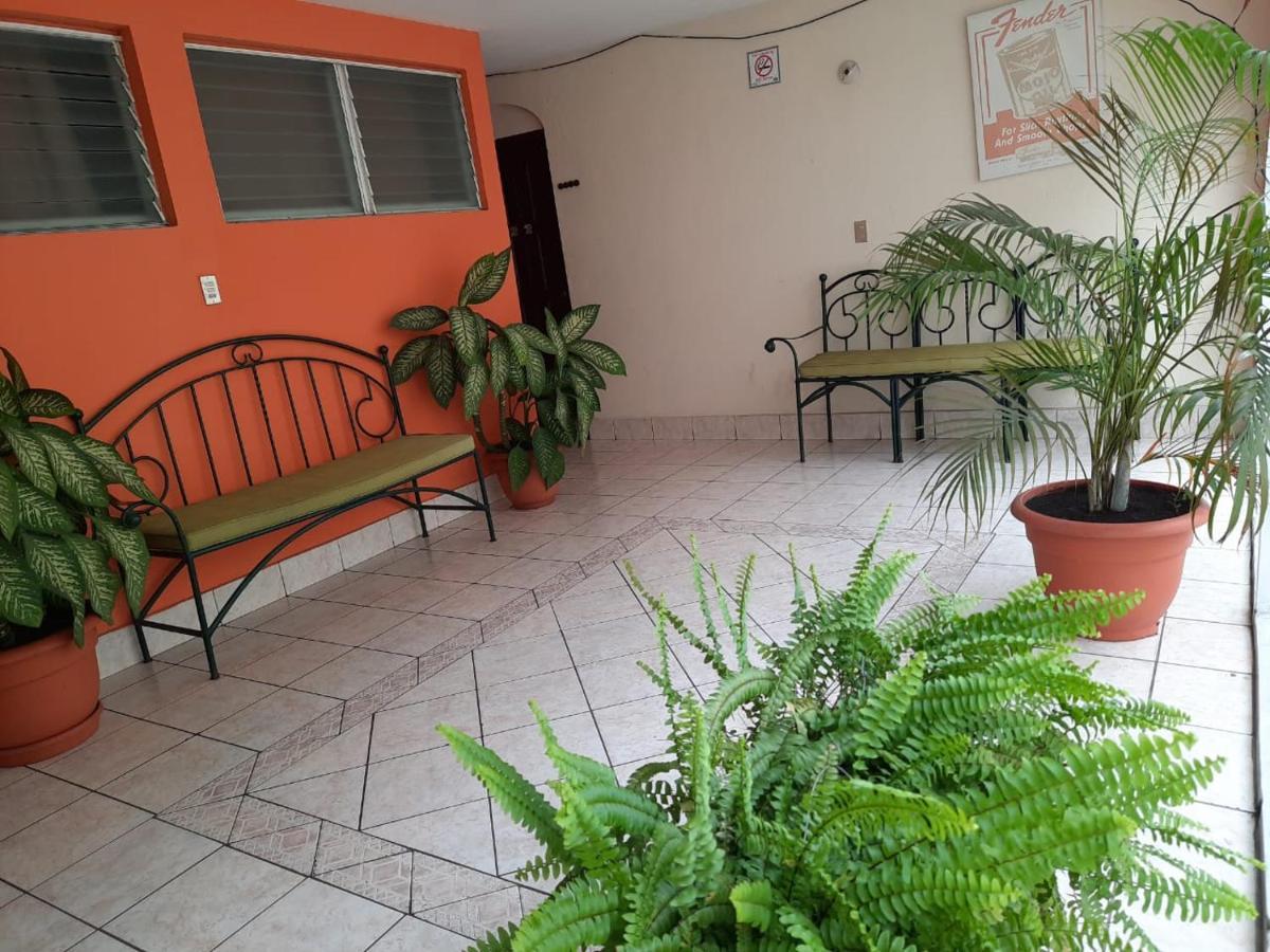 Green Monkey Hostel Flores Ngoại thất bức ảnh